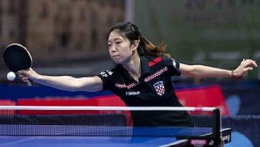 了职业生涯 了职业生涯