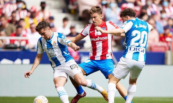 作为德甲赛 作为德甲赛