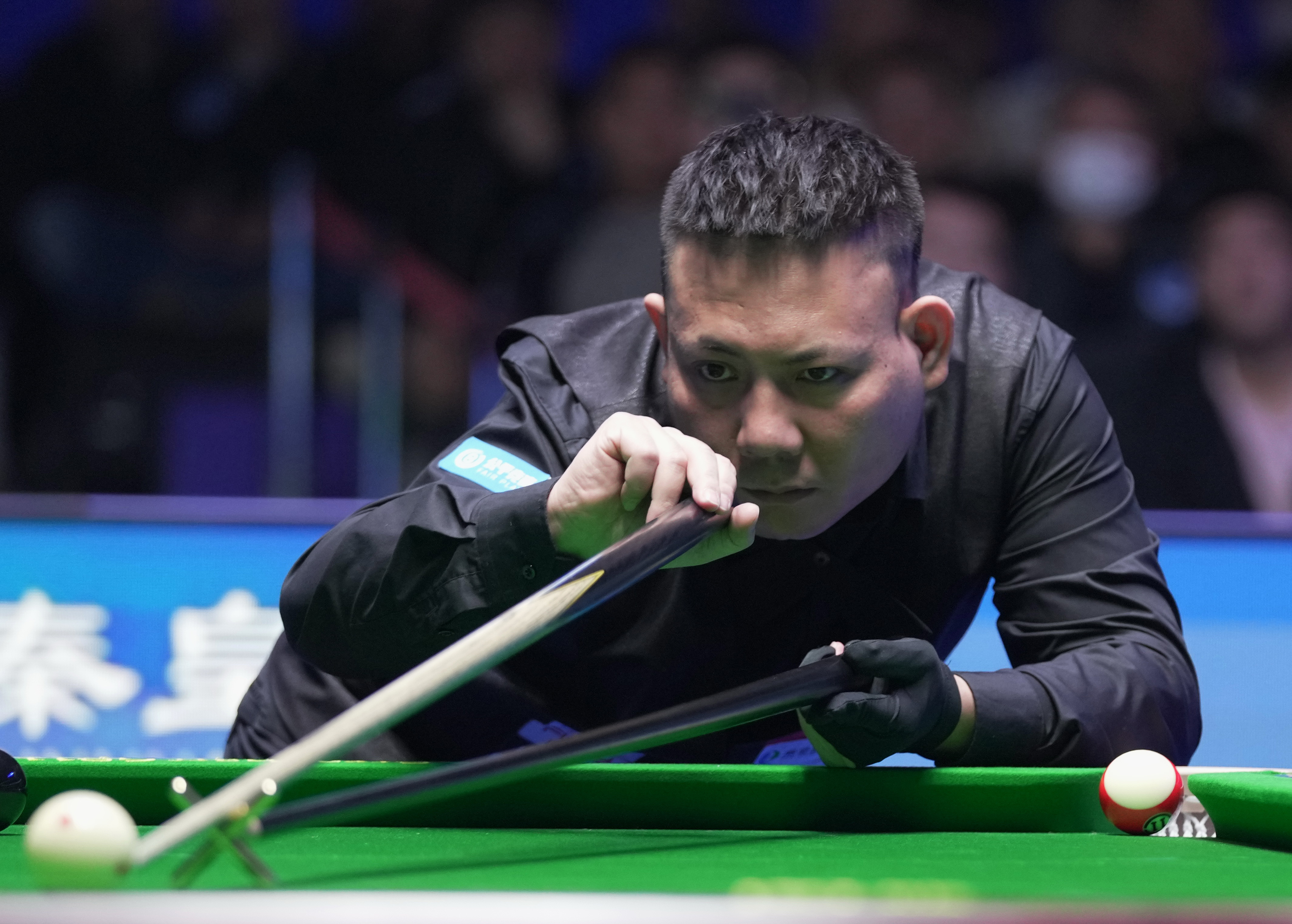 的人性光辉 的人性光辉