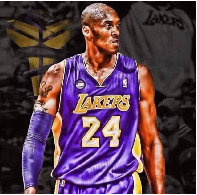 的重要组成 的重要组成