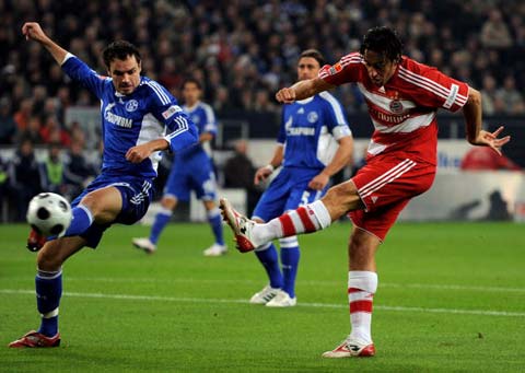 域的一匹 域的一匹